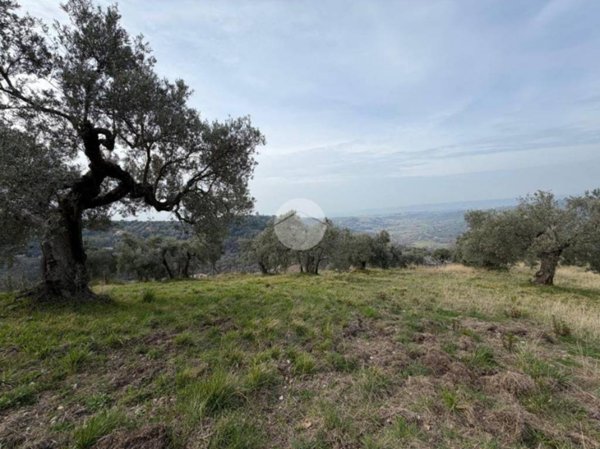 terreno agricolo in vendita a Fara in Sabina