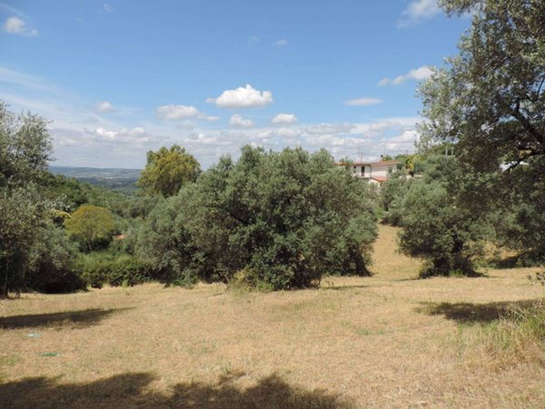 terreno agricolo in vendita a Fara in Sabina