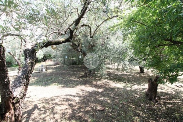 terreno in vendita a Fara in Sabina