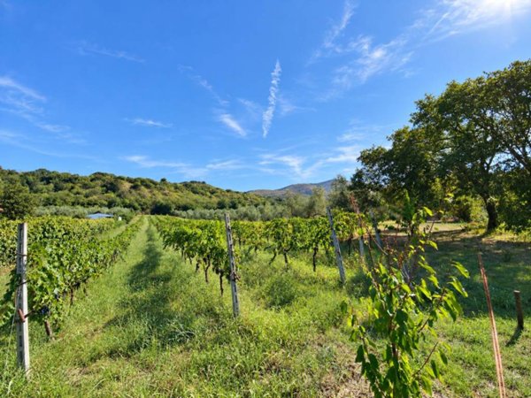 terreno agricolo in vendita a Fara in Sabina in zona Coltodino