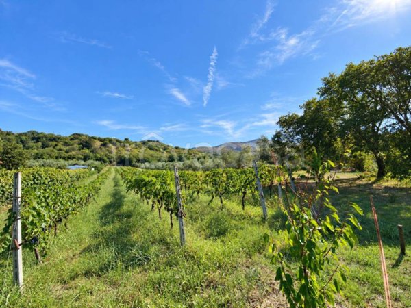 terreno agricolo in vendita a Fara in Sabina in zona Coltodino