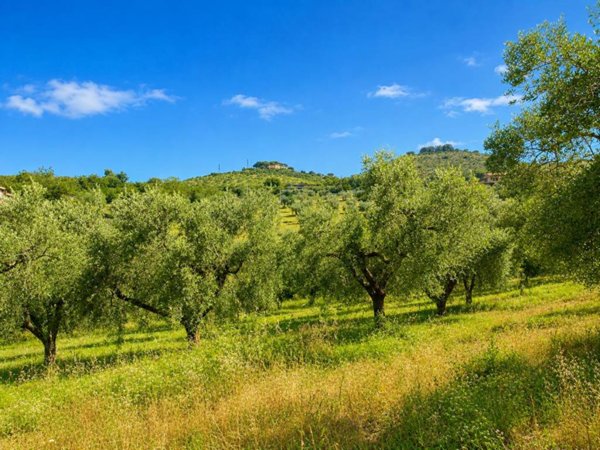 terreno agricolo in vendita a Fara in Sabina in zona Coltodino