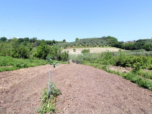 terreno agricolo in vendita a Fara in Sabina