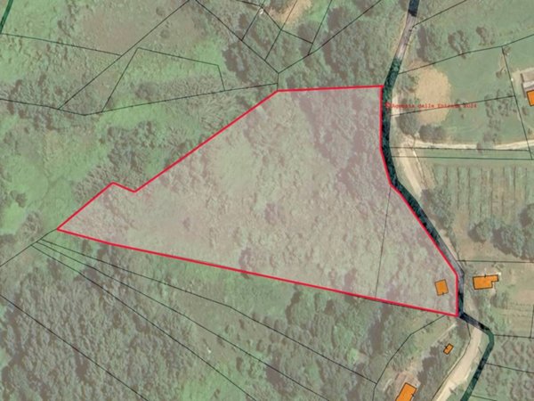 terreno agricolo in vendita a Forano