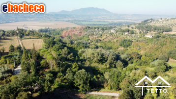 locale di sgombero in vendita a Forano