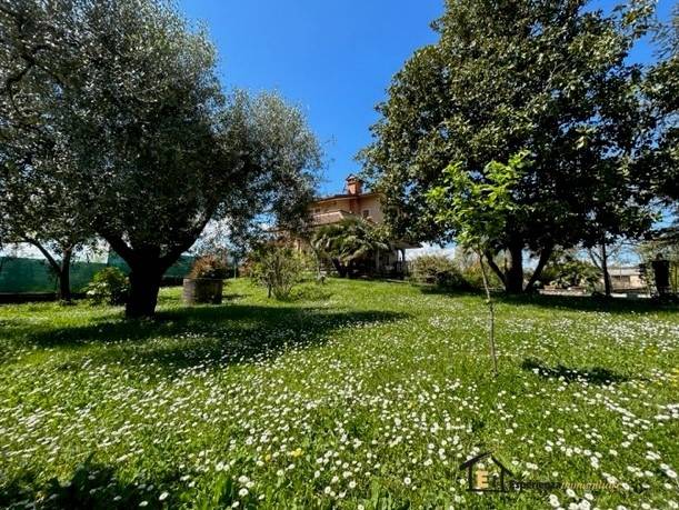 casa indipendente in vendita a Forano