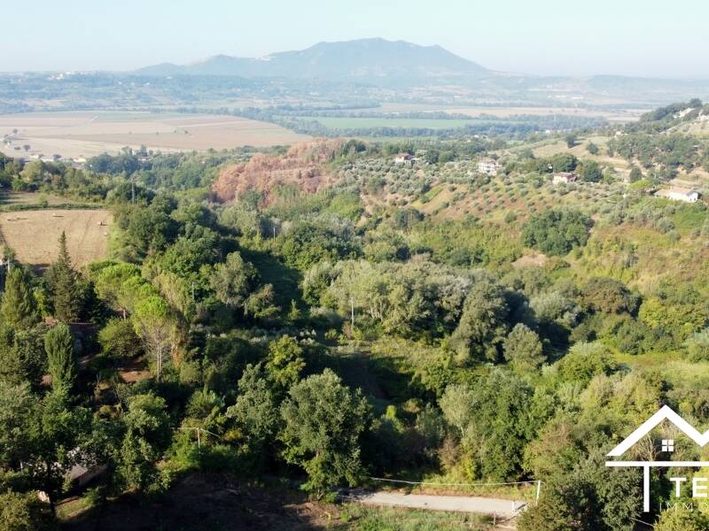 terreno agricolo in vendita a Forano