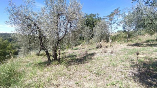 terreno edificabile in vendita a Forano