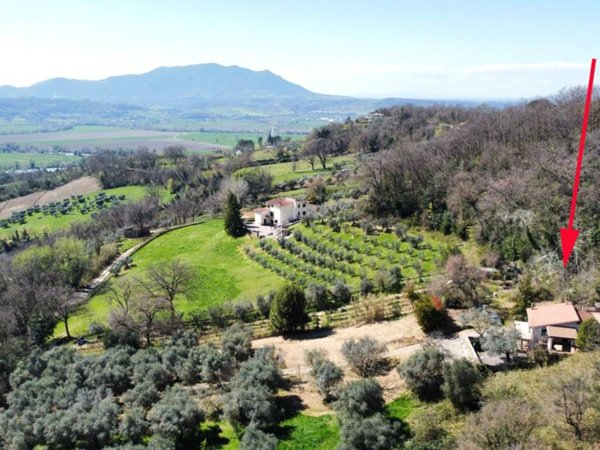 casa indipendente in vendita a Forano