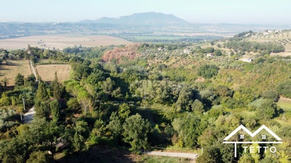 terreno agricolo in vendita a Forano