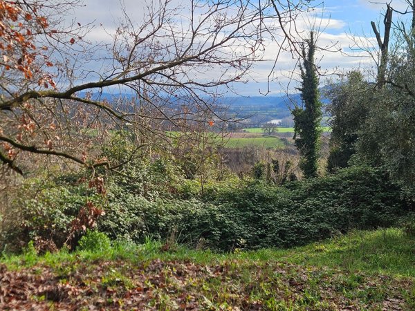 terreno agricolo in vendita a Forano