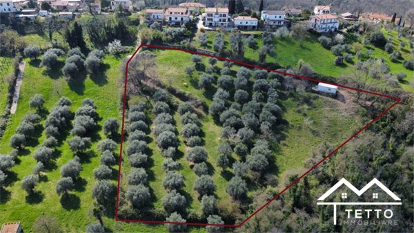 terreno agricolo in vendita a Forano