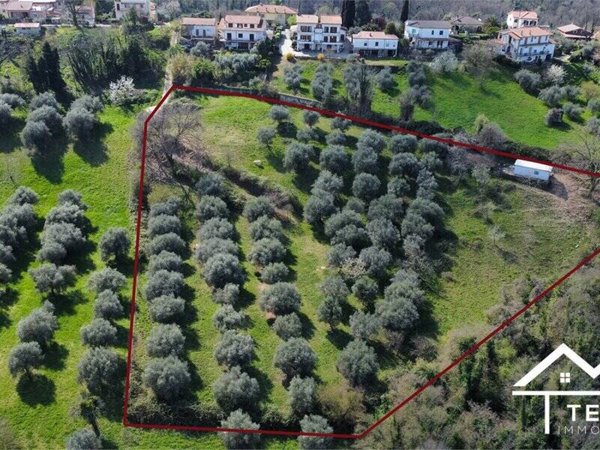 terreno agricolo in vendita a Forano