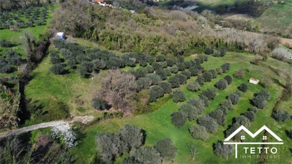 appartamento in vendita a Forano