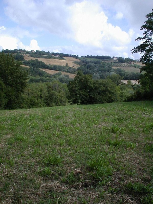 terreno in vendita a Forano