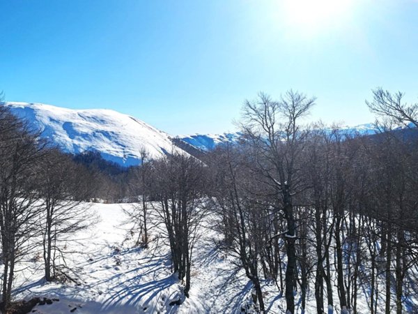 appartamento in vendita a Leonessa in zona Sala