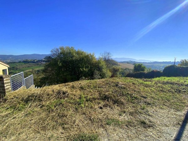 terreno agricolo in vendita a Magliano Sabina