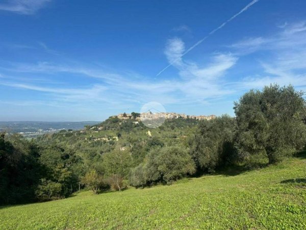terreno agricolo in vendita a Magliano Sabina