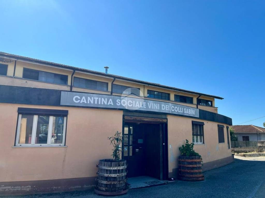 casa indipendente in vendita a Magliano Sabina