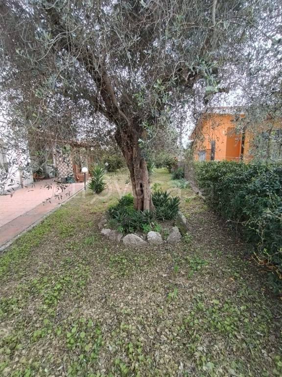 appartamento in vendita a Magliano Sabina