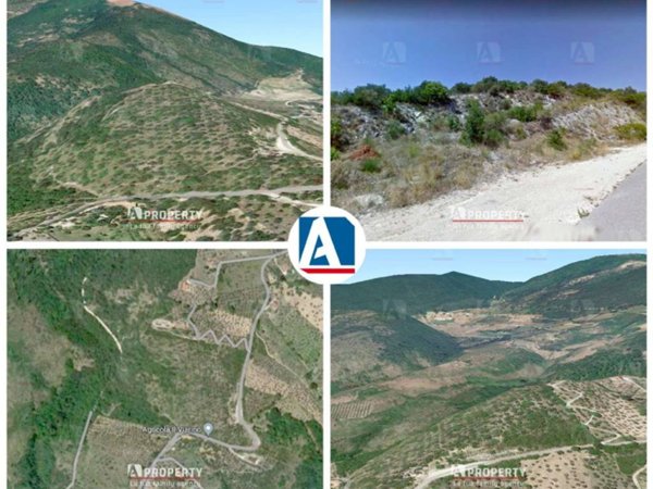 terreno agricolo in vendita a Mompeo