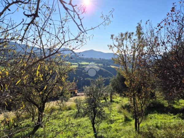 terreno agricolo in vendita a Mompeo