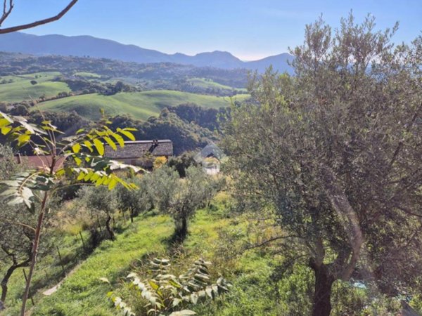 terreno agricolo in vendita a Mompeo
