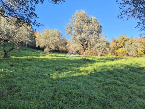terreno agricolo in vendita a Mompeo