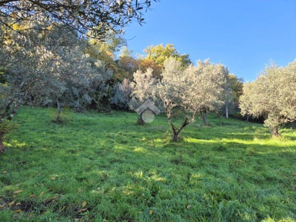 terreno agricolo in vendita a Mompeo