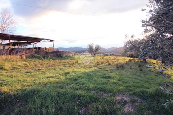 terreno agricolo in vendita a Mompeo