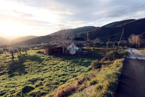terreno agricolo in vendita a Mompeo