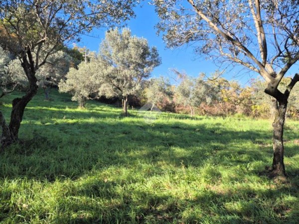 terreno agricolo in vendita a Mompeo in zona Madonna del Mattone