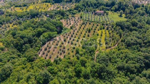 terreno agricolo in vendita a Mompeo