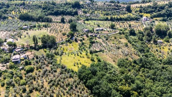 terreno agricolo in vendita a Mompeo in zona Madonna del Mattone