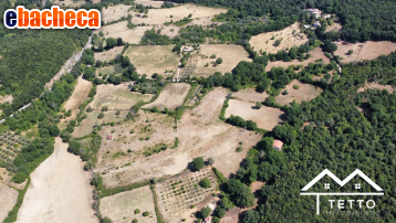terreno agricolo in vendita a Montasola