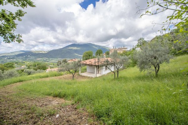 casa indipendente in vendita a Montasola