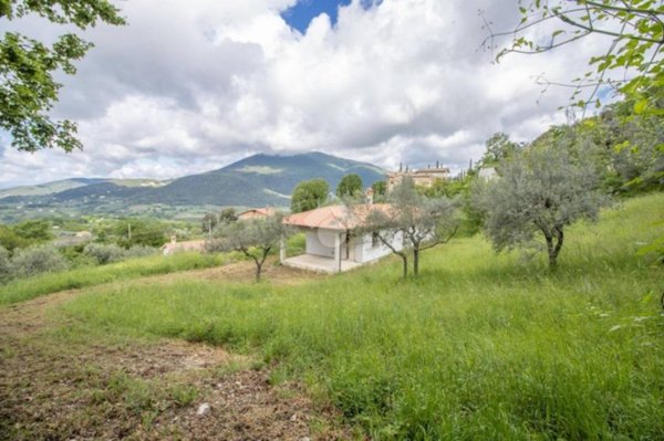 casa indipendente in vendita a Montasola