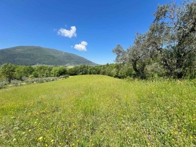 terreno agricolo in vendita a Montasola