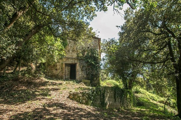 appartamento in vendita a Montasola