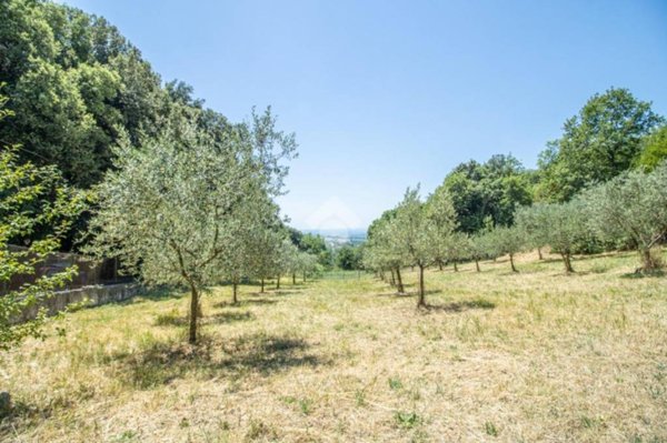 villa in vendita a Montasola