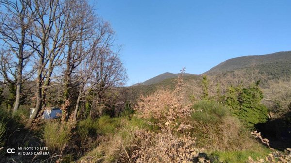 terreno agricolo in vendita a Montasola