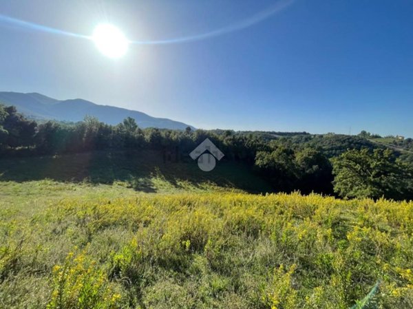 terreno agricolo in vendita a Montasola