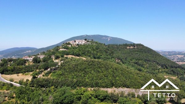 terreno agricolo in vendita a Montasola