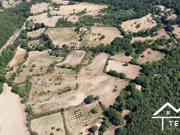 terreno agricolo in vendita a Montasola