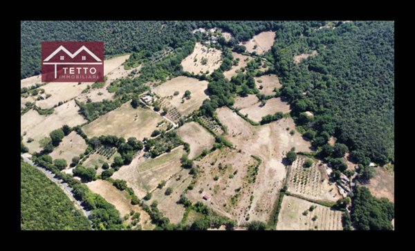 intera palazzina in vendita a Montasola