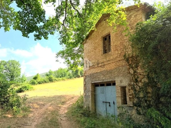 appartamento in vendita a Montasola