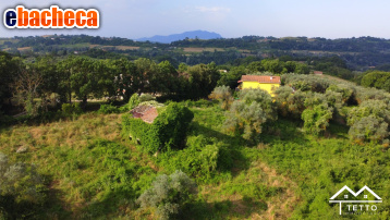 casa indipendente in vendita a Montebuono