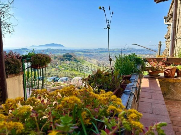 appartamento in vendita a Montebuono