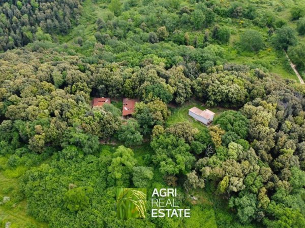 casa indipendente in vendita a Montebuono