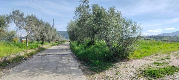 rudere in vendita a Montebuono